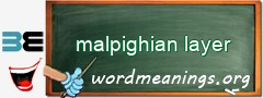 WordMeaning blackboard for malpighian layer